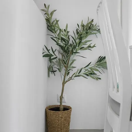 Apartmán Aegean Bliss Retreat - Paros *